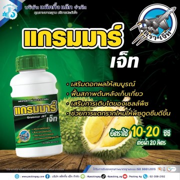 แกรมมาร์-เจ็ท